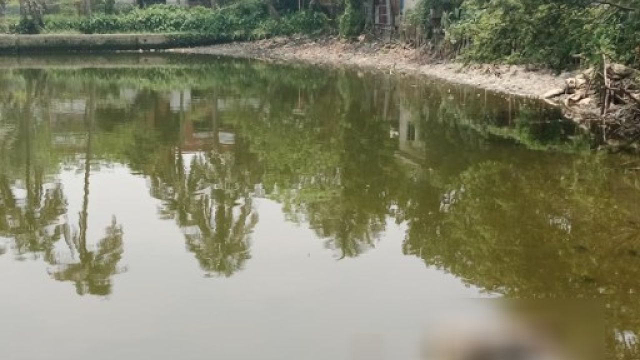 আখাউড়ায় পুকুরে নারীর লাশ, রহস্য উদঘাটনে তদন্ত