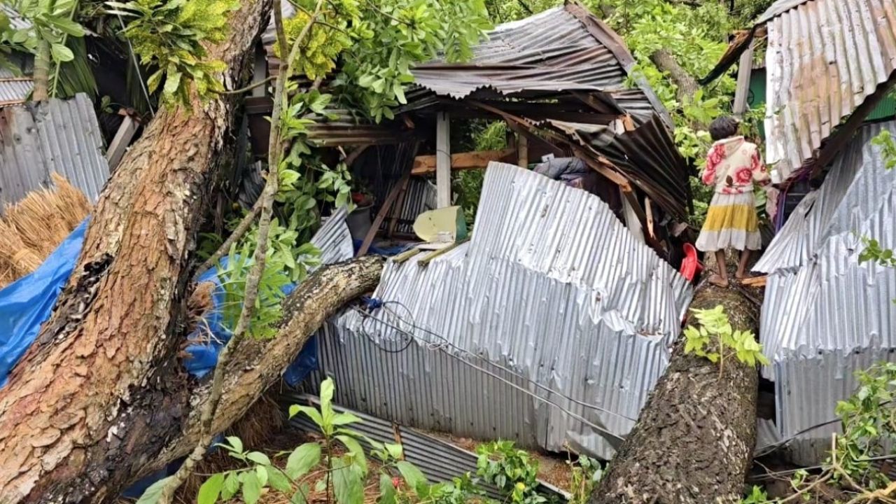 কয়েক মিনিটের তাণ্ডব, গাছ ভেঙে ঘরে আটকা নিজাম