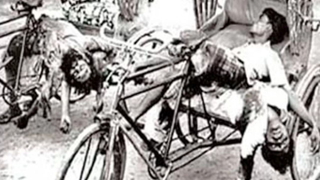 “আগে ভি জানে না তু, পিছে ভি জানে না তু”