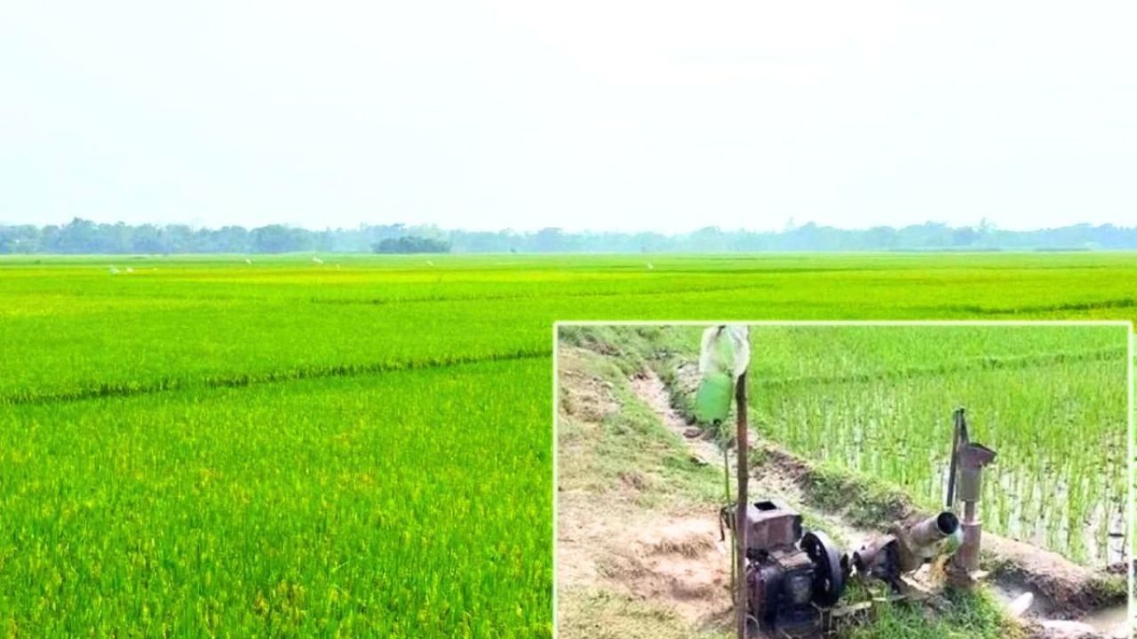 সেচ দিতে পারছেন না কৃষক, ফেটে চৌচির পরশুরামের ফসলি জমি