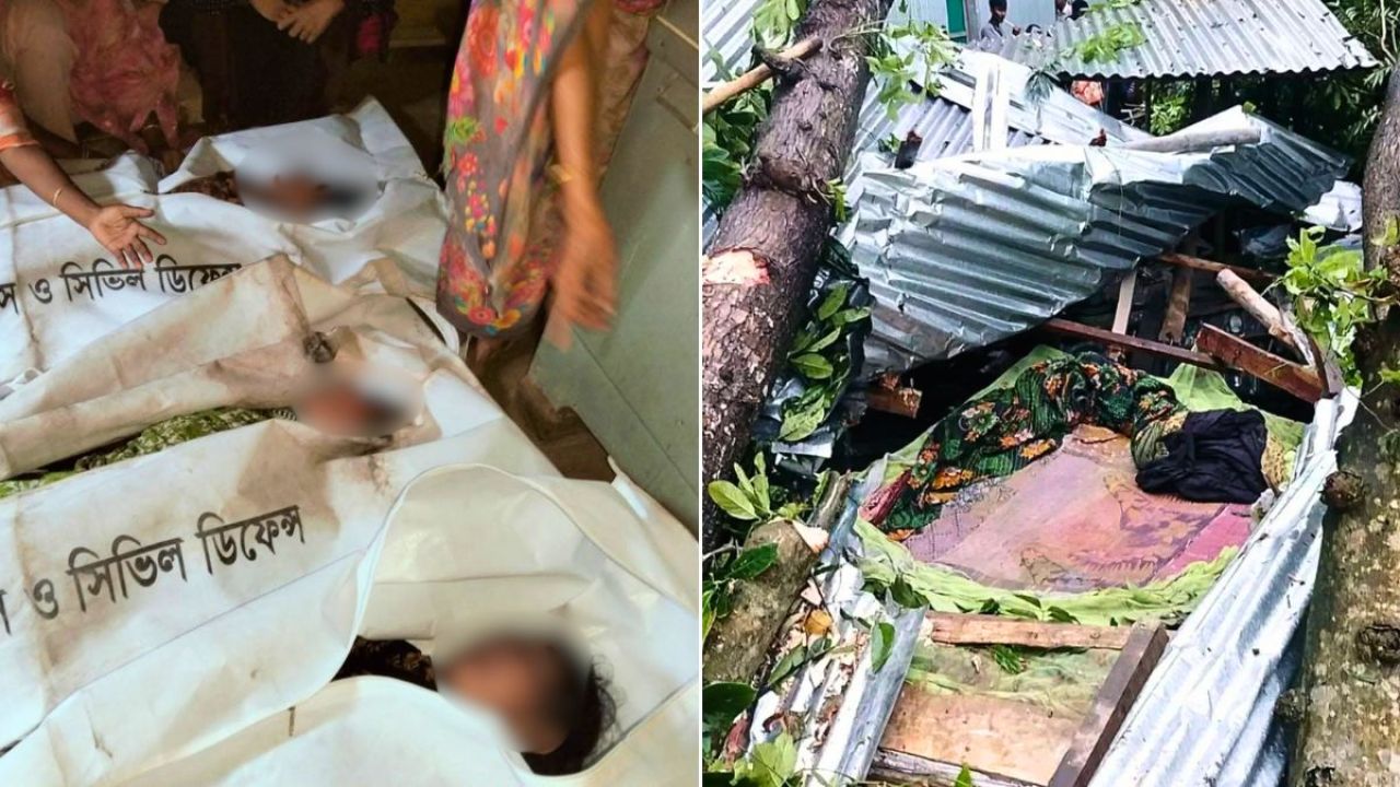কালবৈশাখীতে গাছ উপড়ে ঘুমন্ত মা ও দুই মেয়ের মৃত্যু