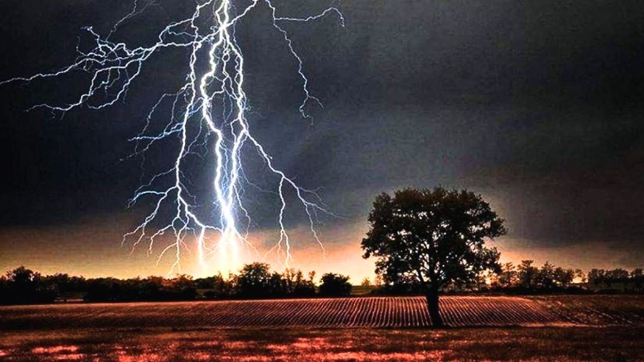 হাওরে ধান কাটতে ও গরু আনতে গিয়ে বজ্রপাতে ৪ জনের মৃত্যু