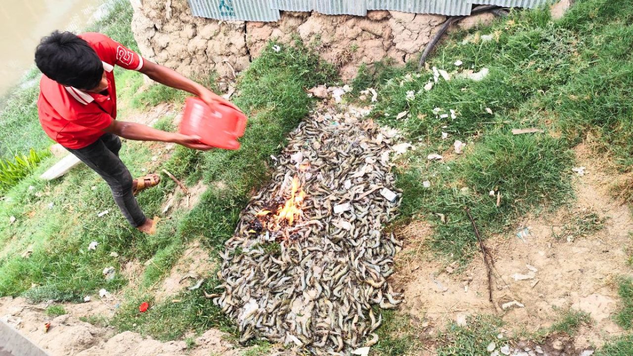 চিংড়িতে জেলি দেওয়ায় ব্যবসায়ীকে জরিমানা