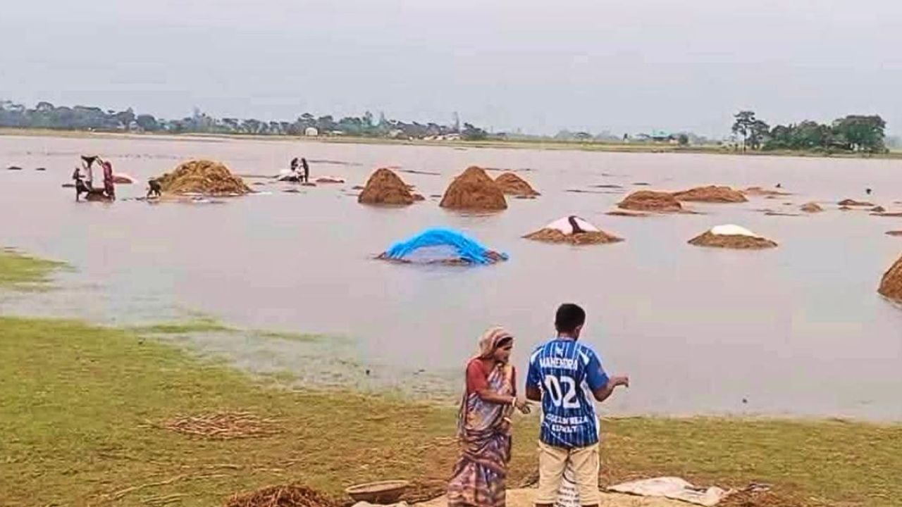 ঢল ও জলাবদ্ধতায় হাওরজুড়ে কৃষকের কান্না