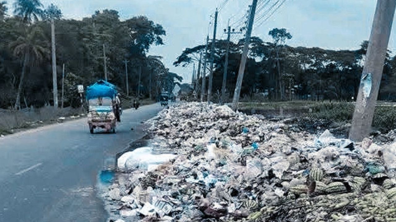 চরফ্যাশনে মহাসড়কের পাশে ময়লার ভাগাড়, বাড়ছে রোগব্যাধি