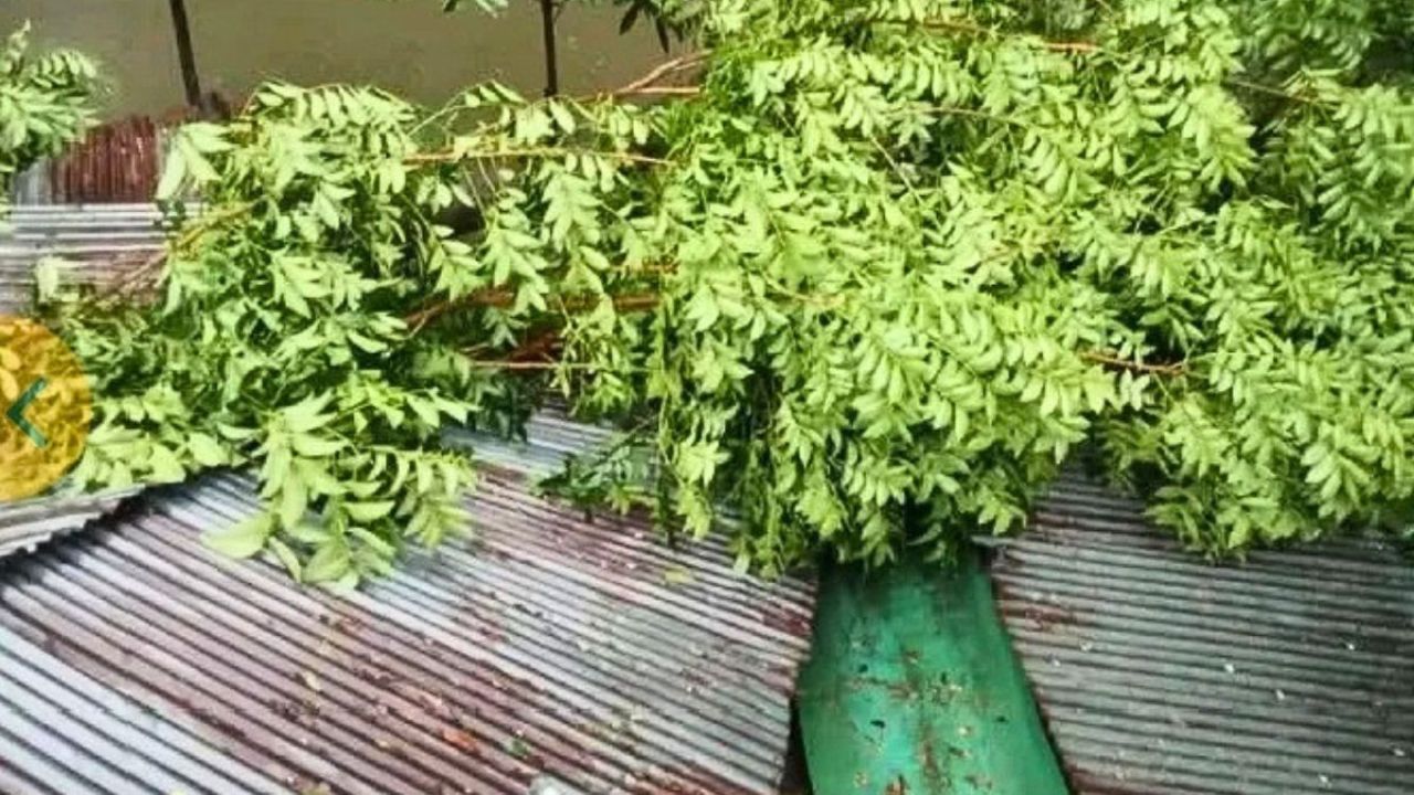 দুমকিতে কালবৈশাখীর তাণ্ডব, ঘরবাড়ি ও ফসলের ব্যাপক ক্ষতি