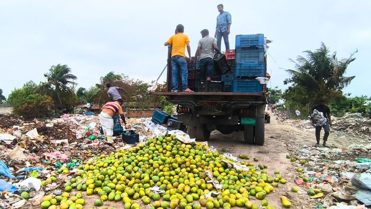 সাতক্ষীরায় ৯ হাজার কেজি ভেজাল আম জব্দ