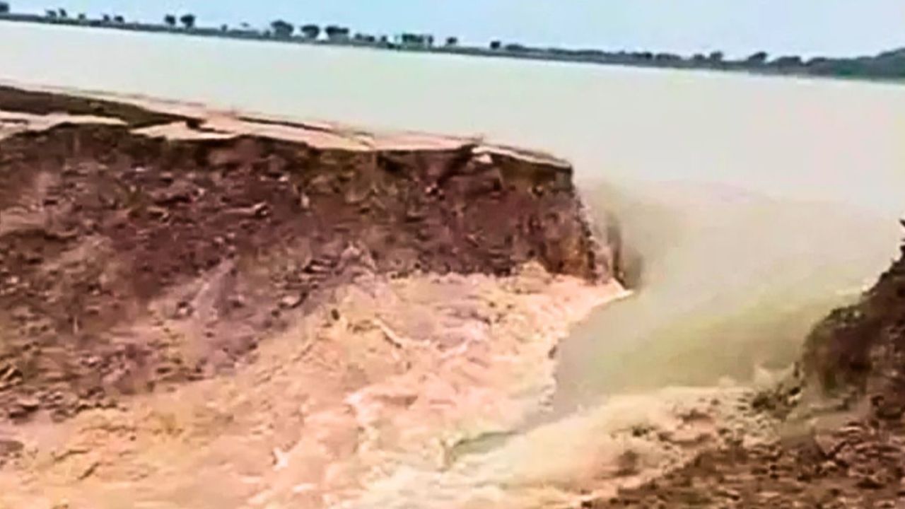 মধ্যনগরে বাঁধ ভেঙে বোরো ধান পানির নিচে