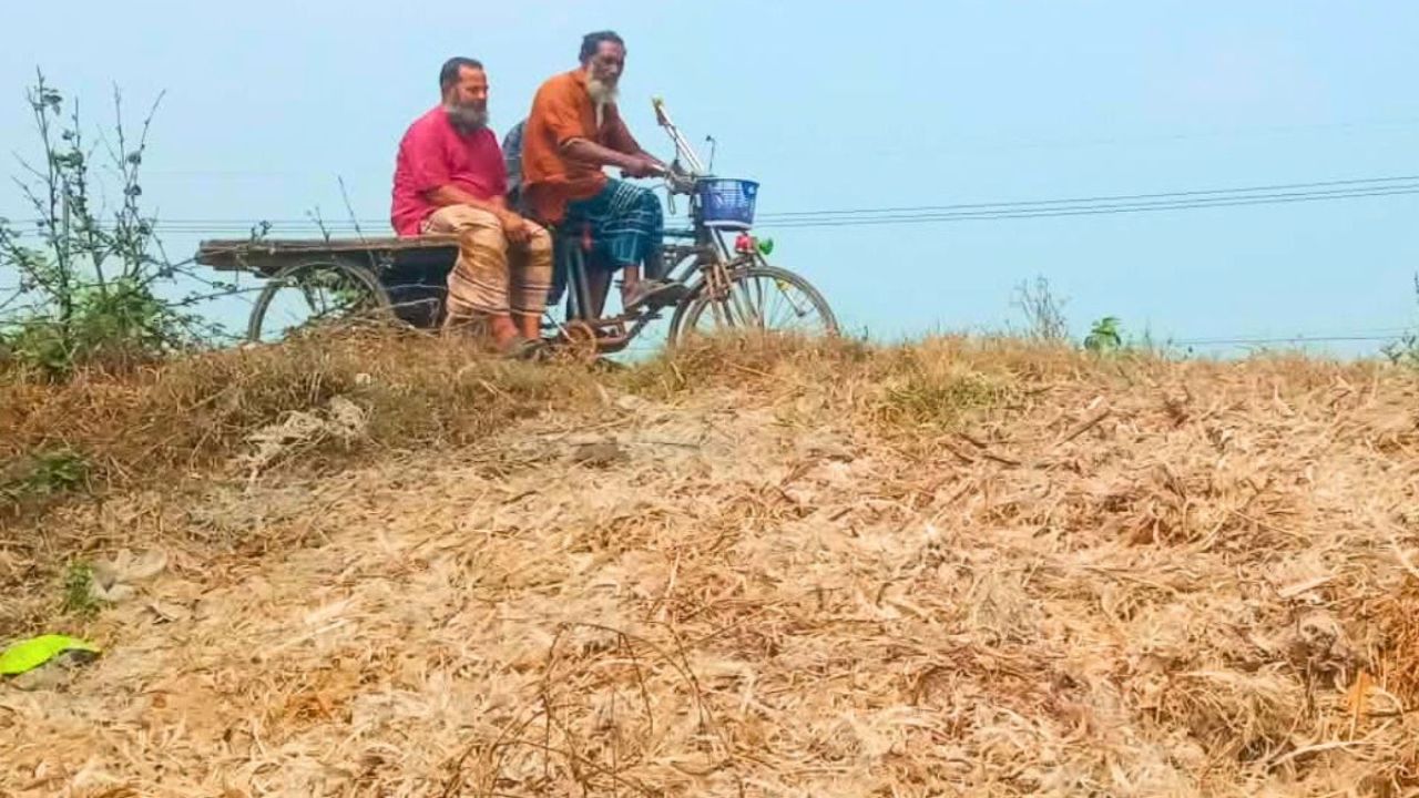 সড়কের পাশে বর্জ্যের স্তূপ, ঝুঁকিতে জনস্বাস্থ্য