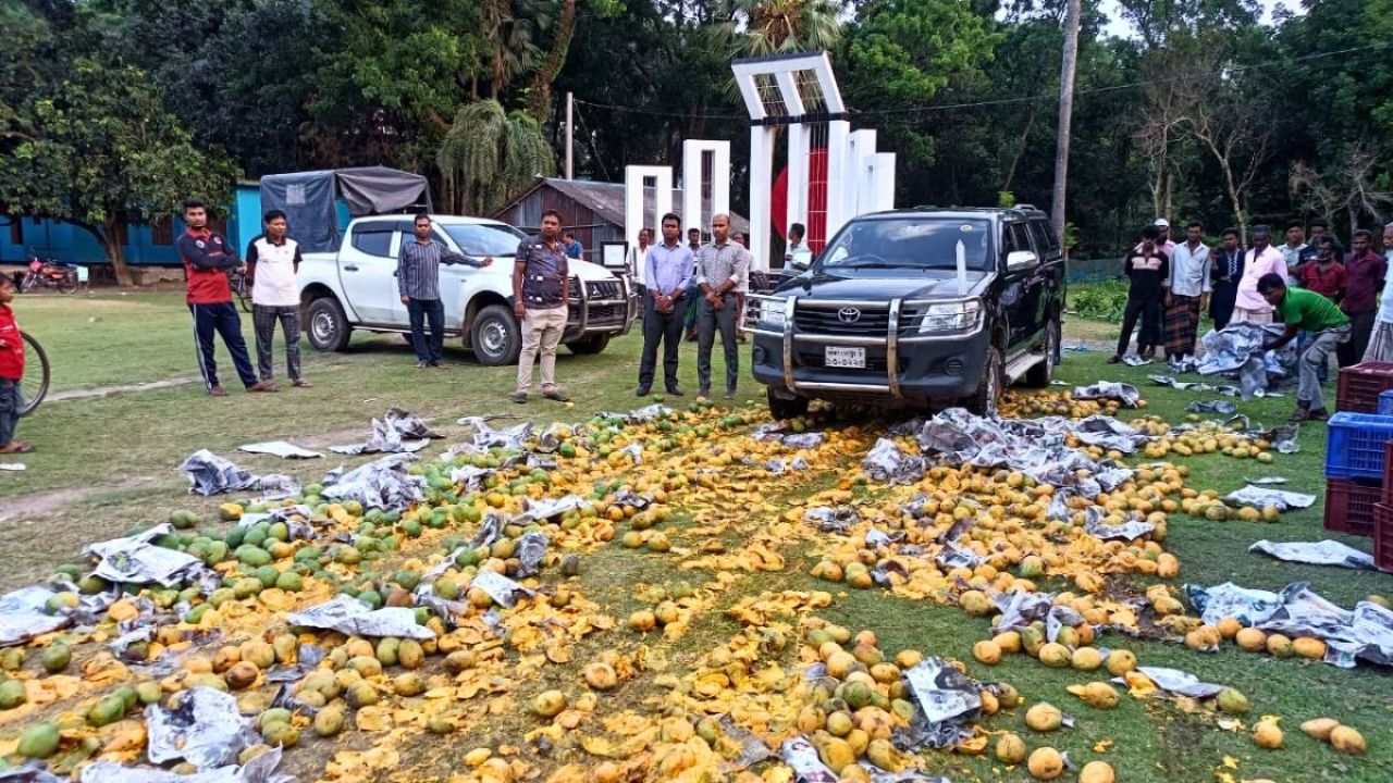 দেবহাটায় ১ হাজার কেজি বিষাক্ত আম বিনষ্ট