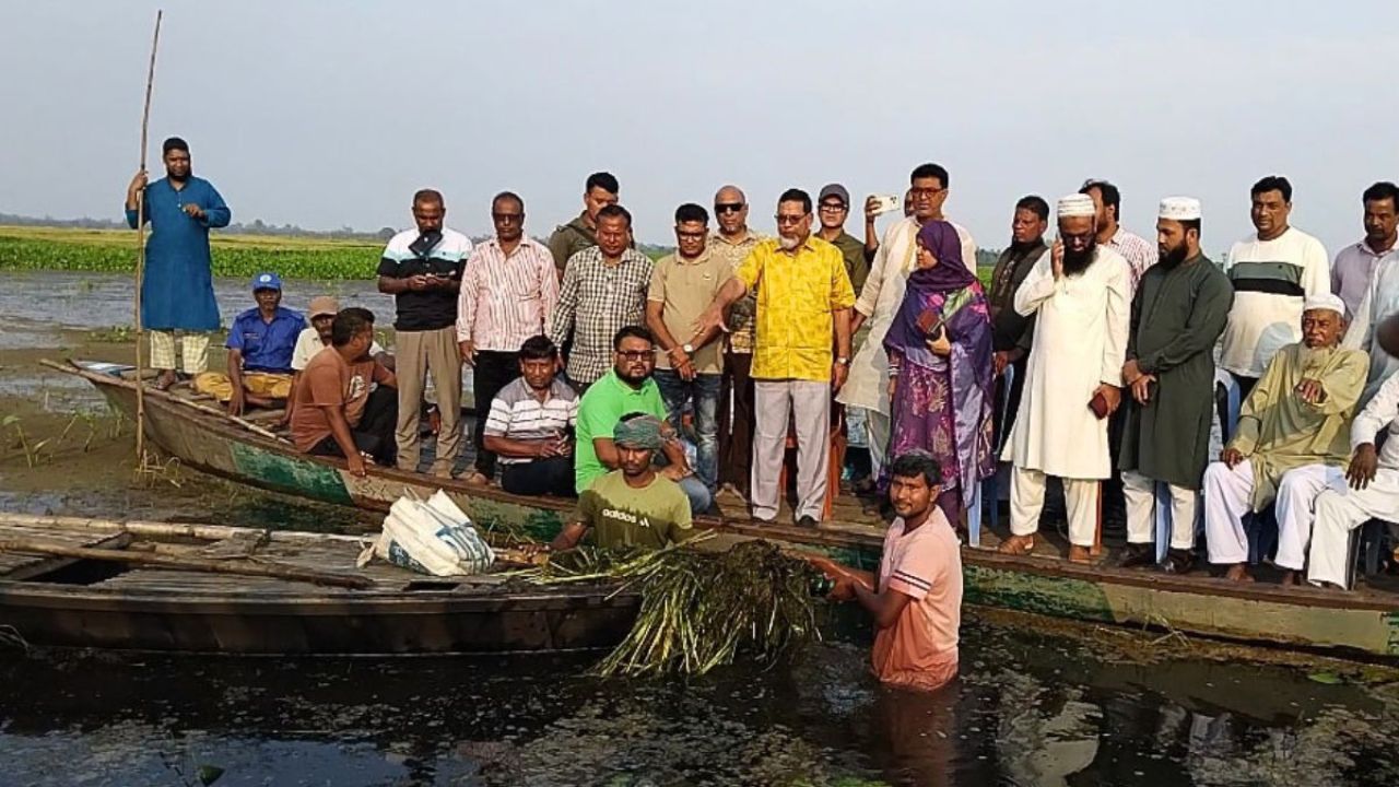 রক্তদহ বিলে বৃষ্টির পানিতে ভাসল পাকা ধান