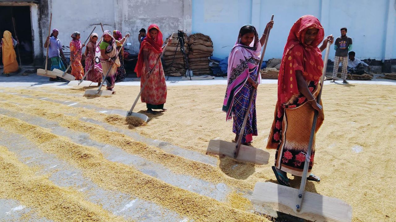 গার্মেন্টস ও অপ্রাতিষ্ঠানিক খাতের নারী শ্রমিকদের বাস্তবতা