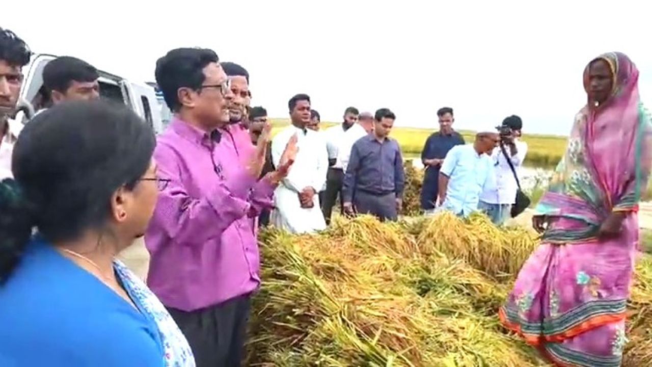 হাওরে ডুবলো ধান, ৩ মাস ‘খাওয়ানোর’ আশ্বাস এমপির