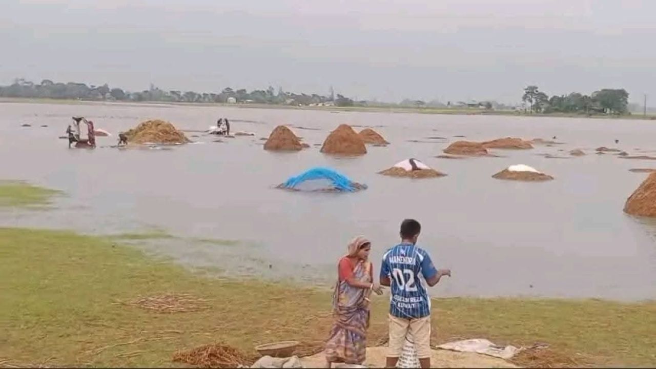 ডুবে যাওয়া জমির পাশে কাঁদছেন হাবিব