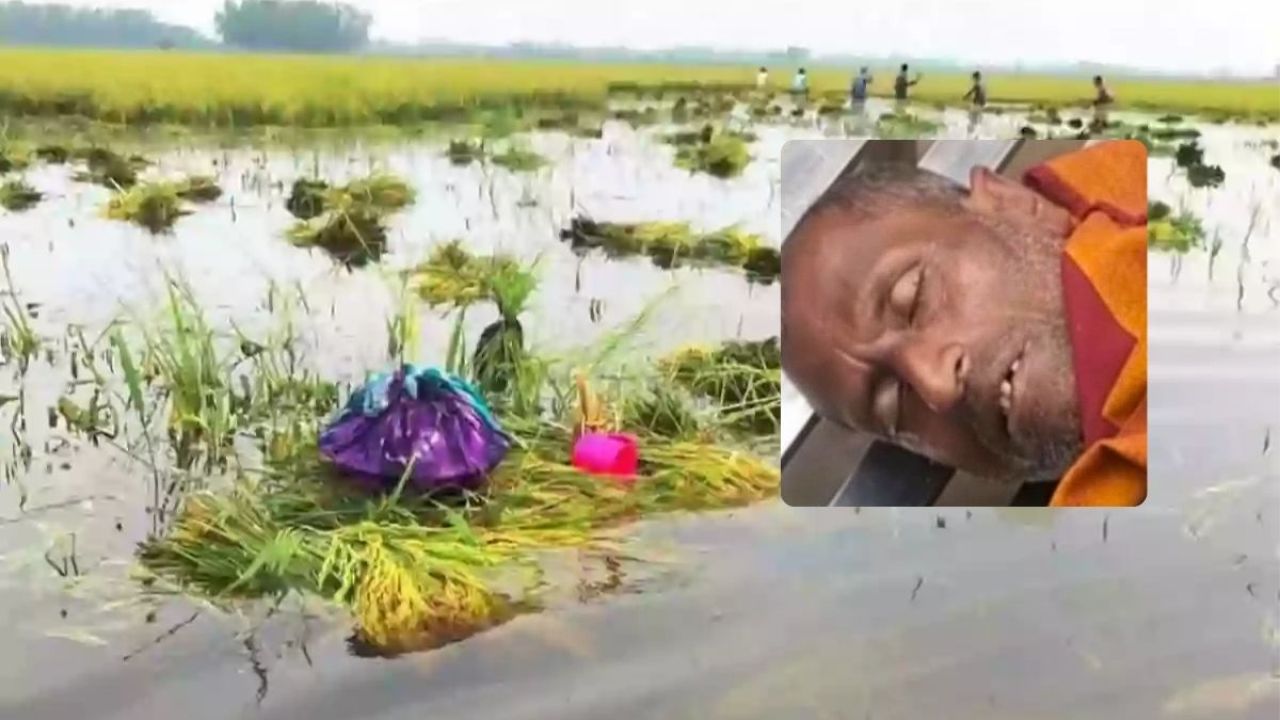 নাসিরনগরে তলিয়ে যাওয়া ধান দেখে মাঠেই কৃষকের মৃত্যু