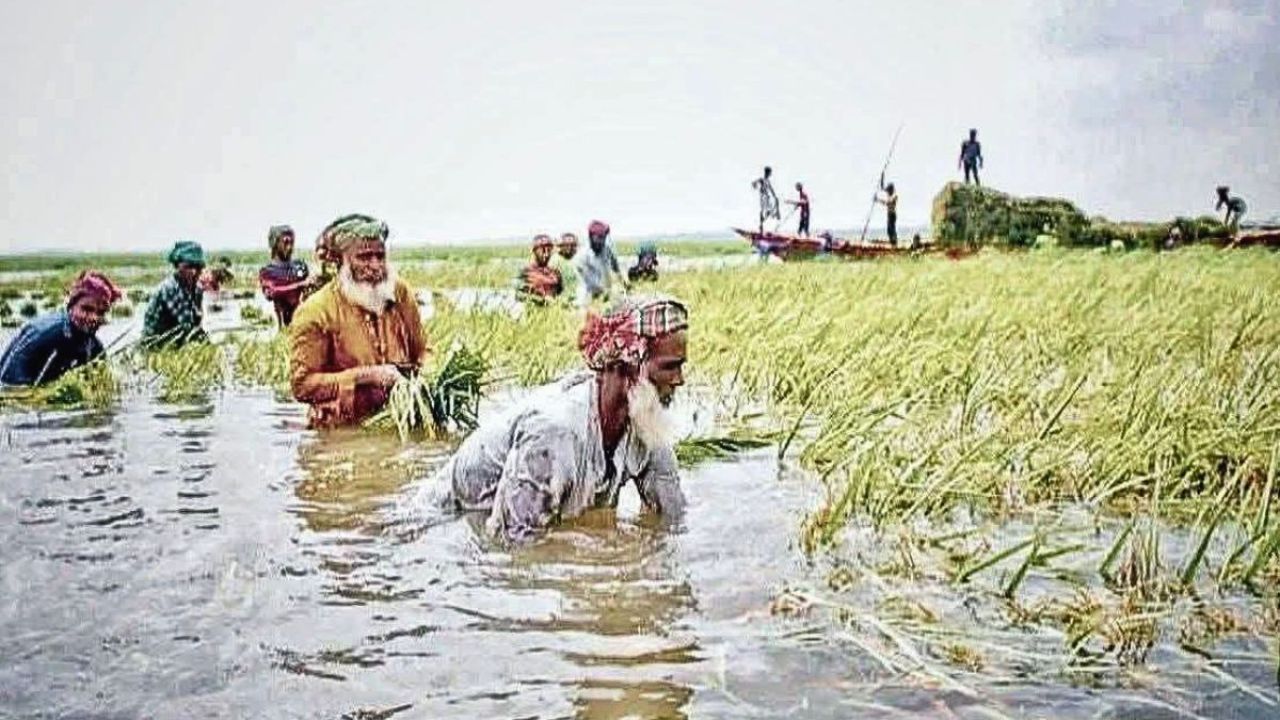 সরকারি হিসেবে ৫০০ কোটি হলেও বাস্তবে ক্ষতি ‘হাজার কোটির বেশি’