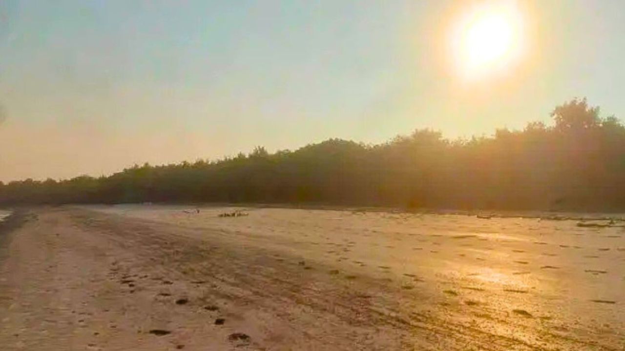 সুন্দরবনে অপহরণের শিকার দুই বনজীবী