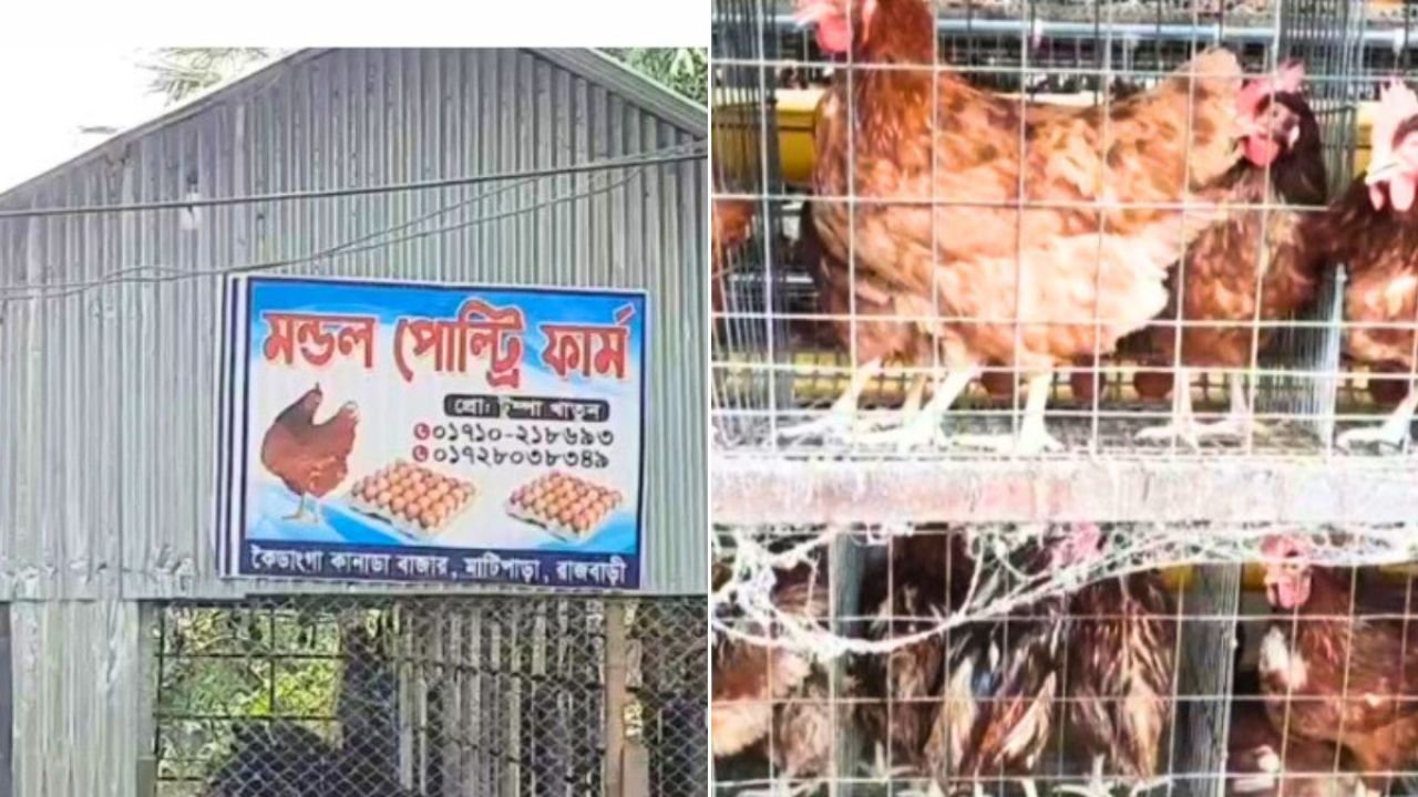 রাজবাড়ীতে পোলট্রি খামারের দুর্গন্ধে অতিষ্ঠ এলাকাবাসী