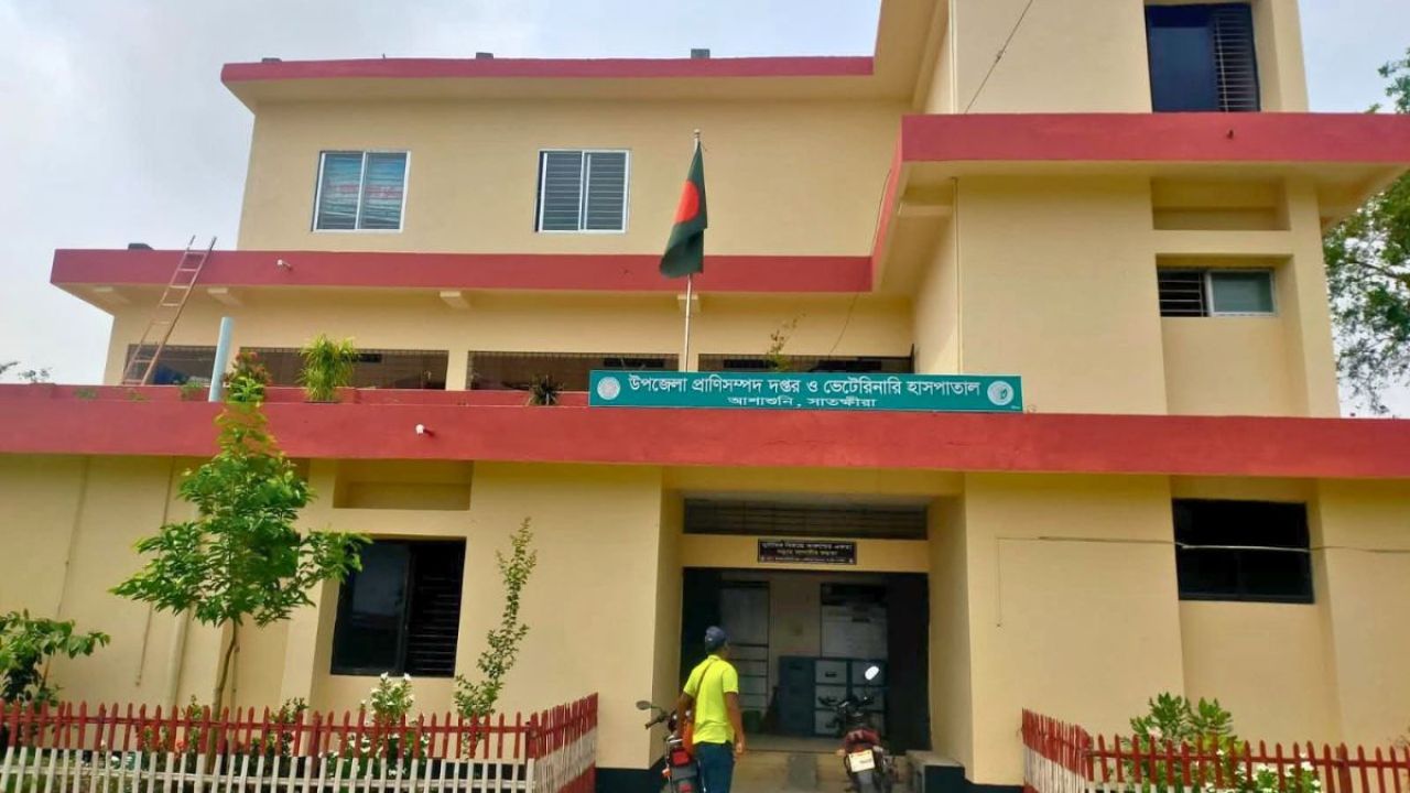 জনবল সংকটে খুঁড়িয়ে চলছে আশাশুনি প্রাণিসম্পদ কার্যালয়