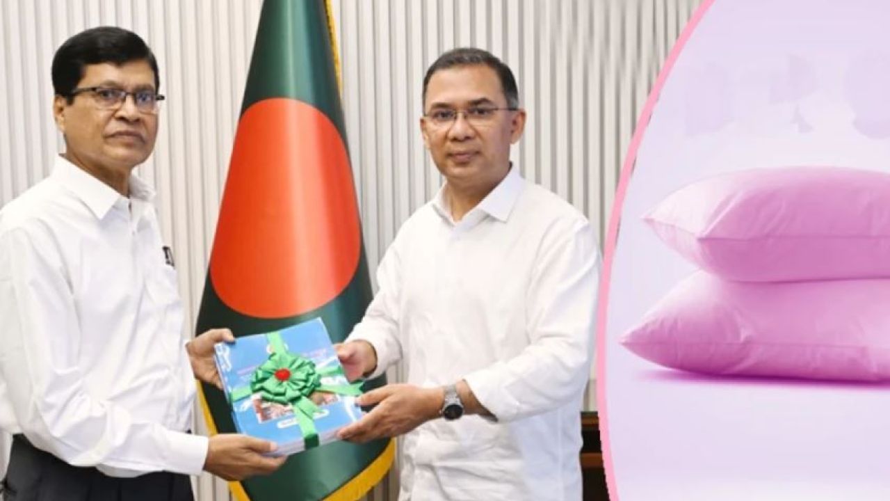 একটি বালিশ জাদুঘরে রাখা উচিৎ: প্রধানমন্ত্রী