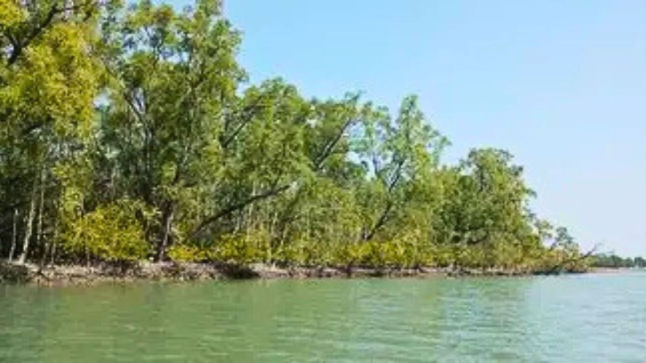 দস্যুদের কবলে ২০ বনজীবী, মুক্তিপণ দাবি