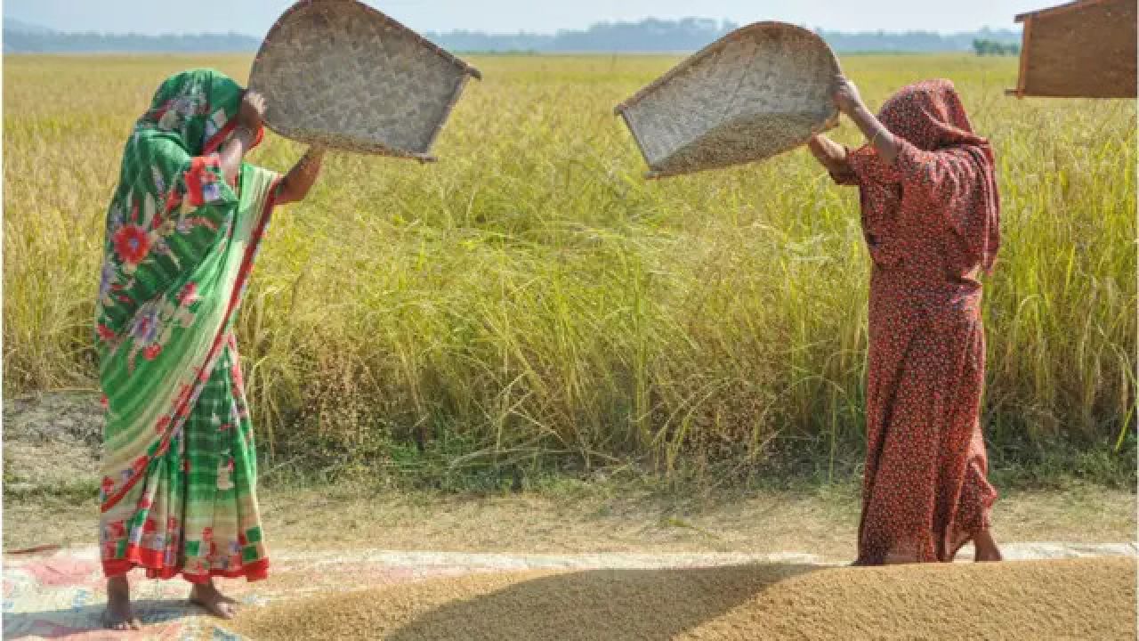 আধুনিক কৃষি ও স্মার্ট প্রযুক্তির সমন্বয়েই টেকসই সমৃদ্ধির সম্ভাবনা