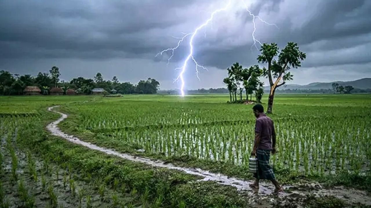 বজ্রপাতে চার জেলায় প্রাণ গেল ৬ জনের
