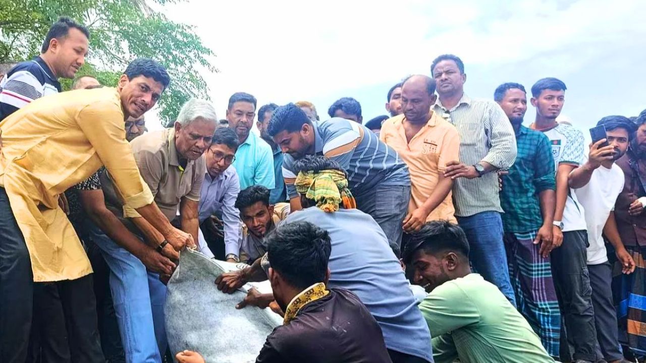 সুবর্ণচরে মেঘনা নদীর ভাঙন রোধে কাজ শুরু