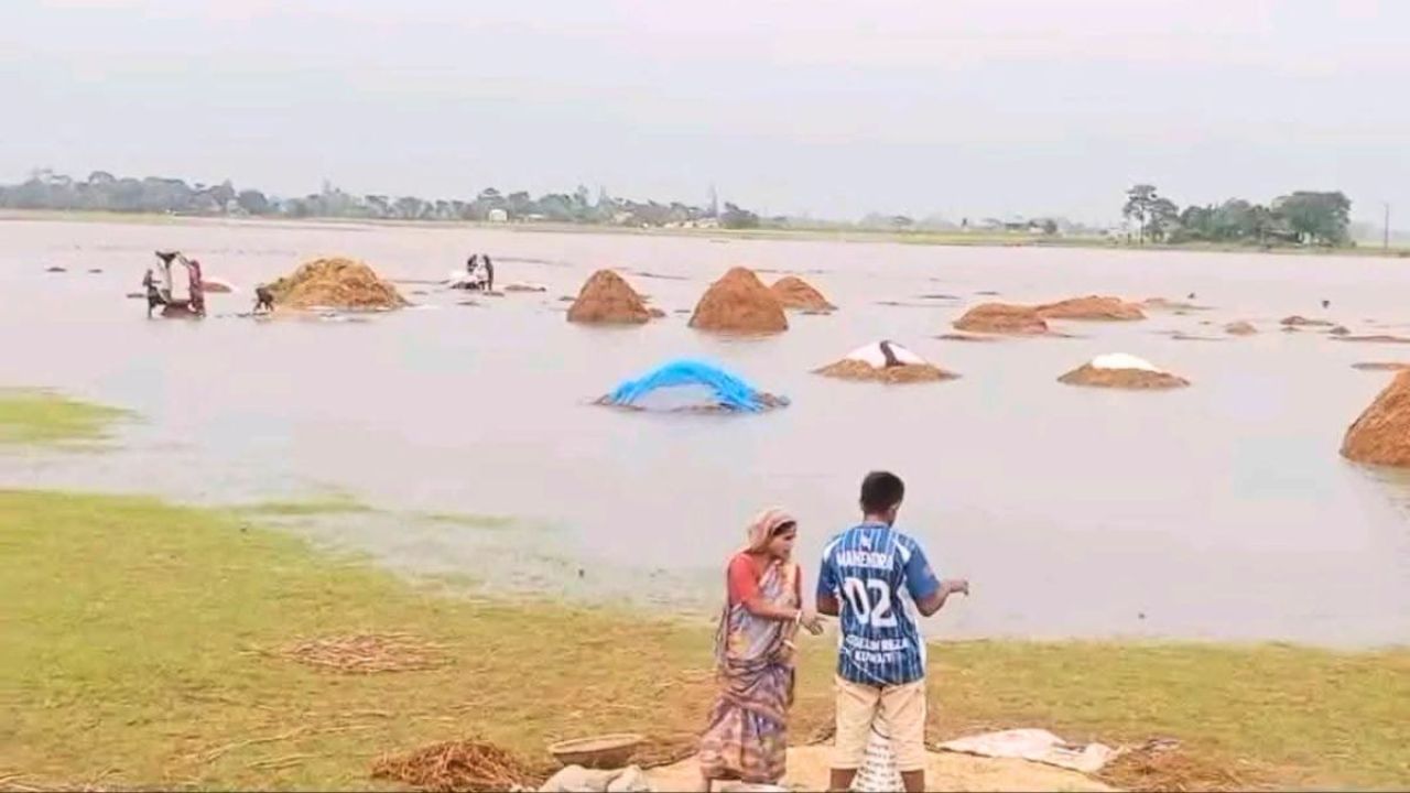 হবিগঞ্জে বন্যায় ৩৪০ কোটি টাকার ফসলহানি, দিশেহারা ২১ হাজার কৃষক
