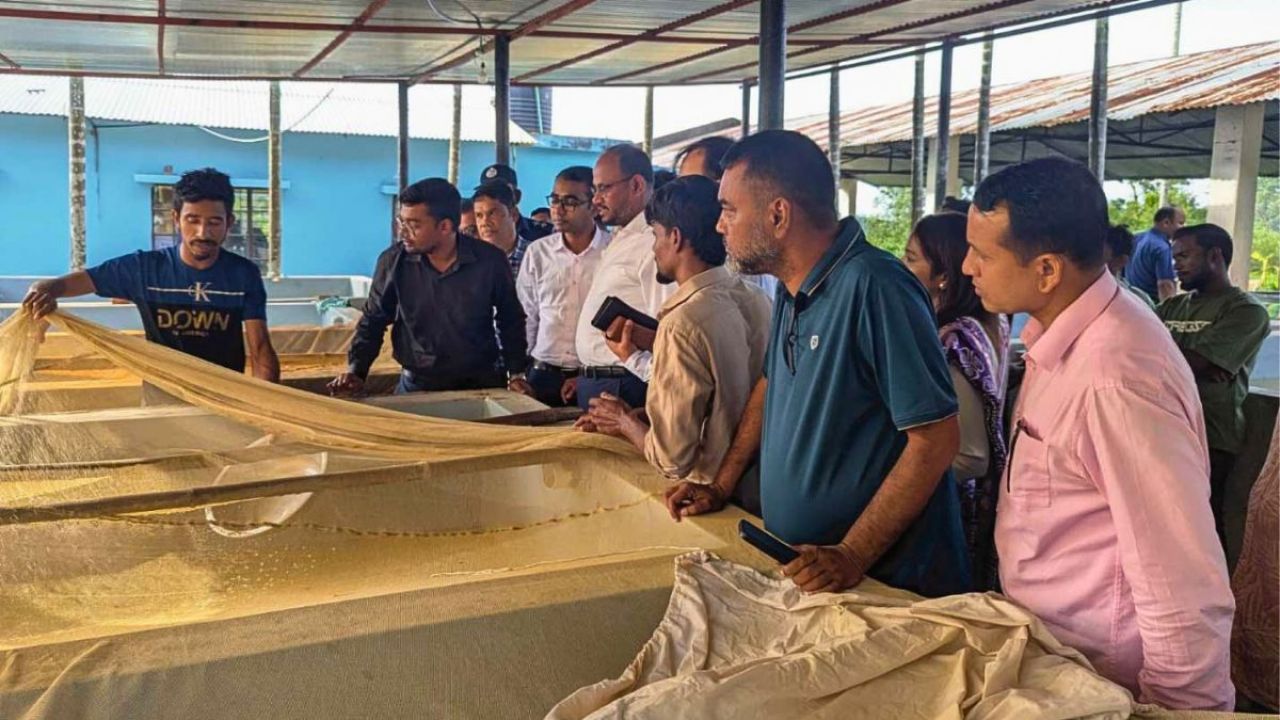 আধুনিক প্রযুক্তিতে হালদার পোনা উৎপাদনের তাগিদ