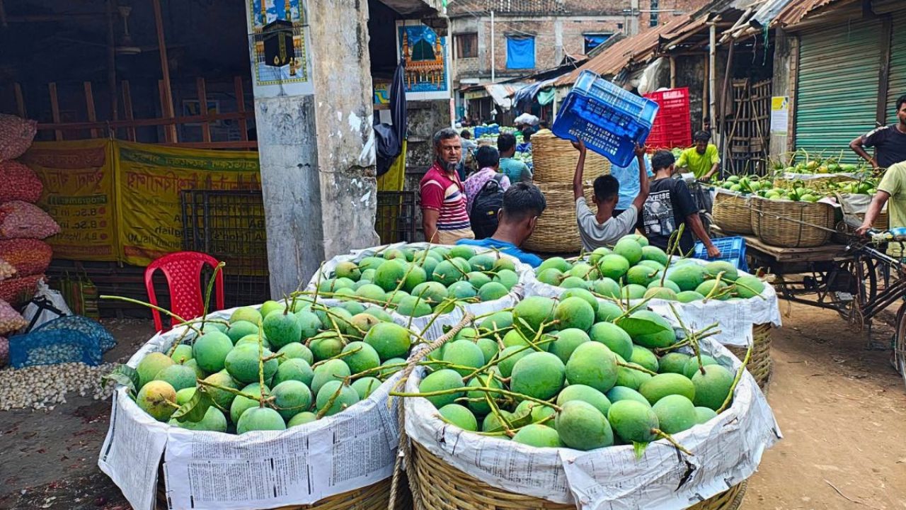 মাঠে সস্তা আম, অনলাইনে চড়া দাম: ক্ষোভ কৃষকদের