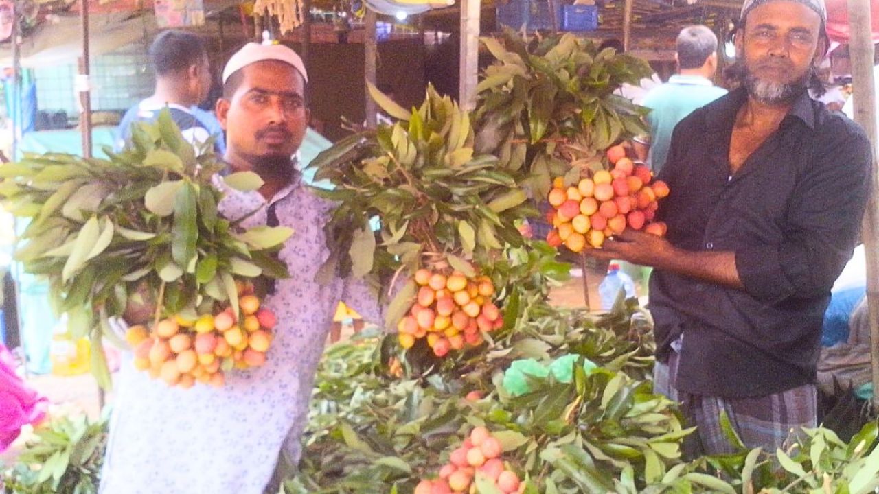 বাজারে এলো সোনারগাঁয়ের সুস্বাদু লিচু