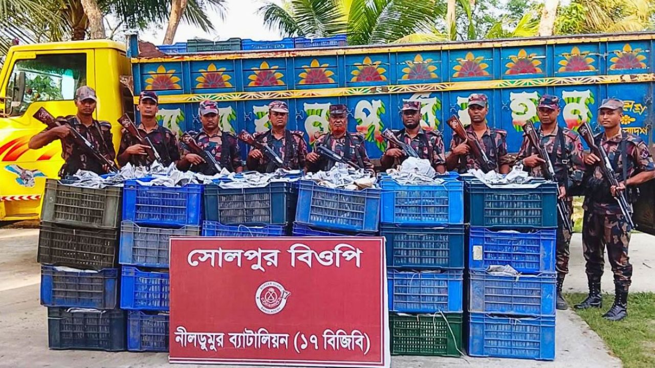 সাতক্ষীরায় বিজিবির অভিযানে মাদকসহ আটক ৪