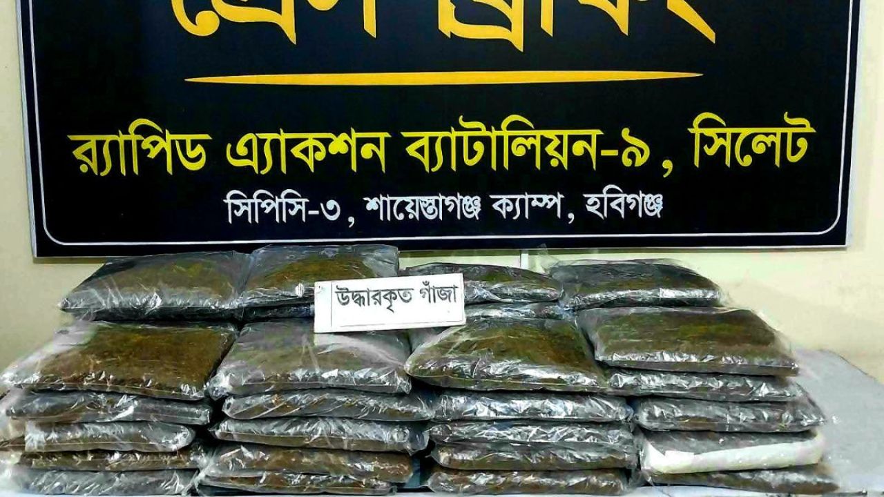 নবীগঞ্জে ৪৫ কেজি গাঁজাসহ আটক ২