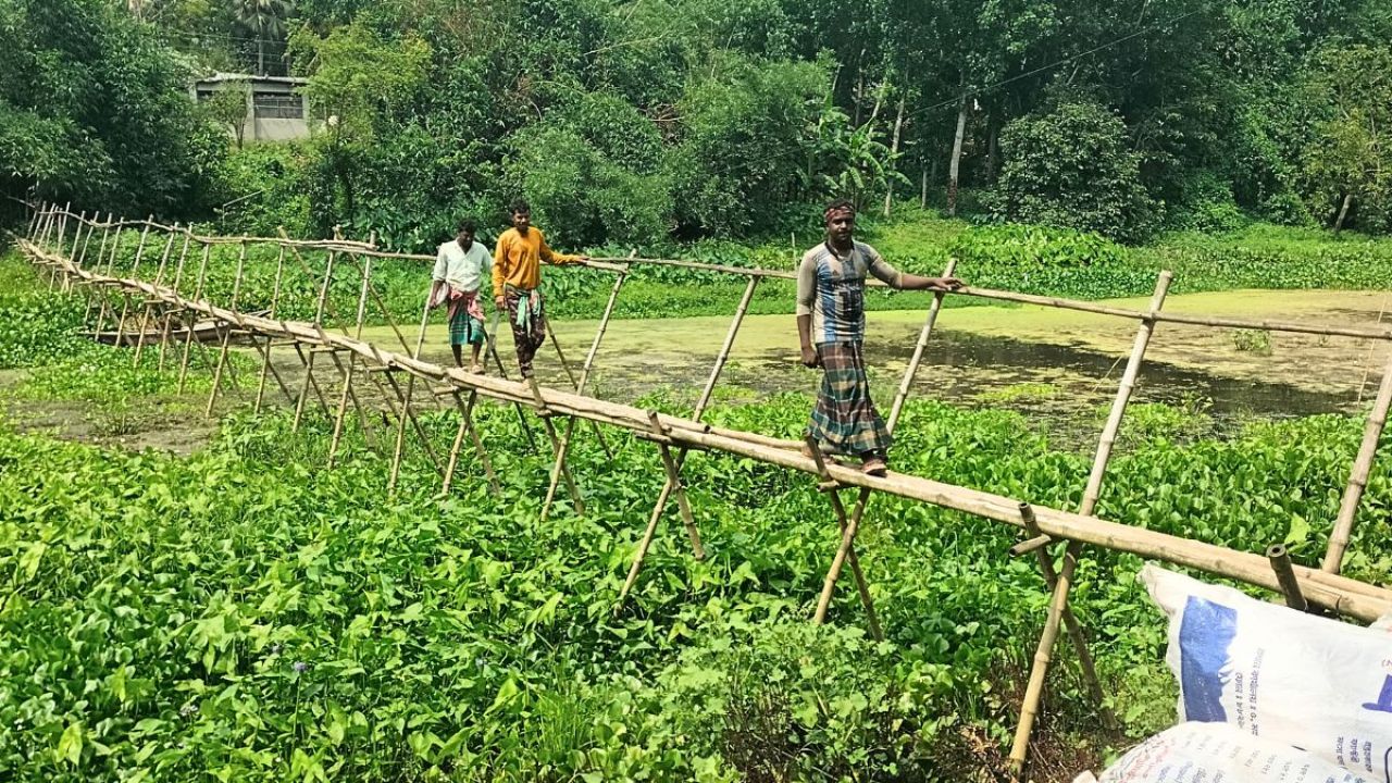 স্বাধীনতার ৫৪ বছরেও মেলেনি সেতু, ঝুঁকি নিয়ে ইছামতী পার