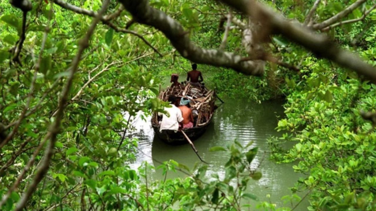 ৭ লাখ টাকা মুক্তিপণ দিয়ে ফিরলেন সুন্দরবনে অপহৃত ১১ জেলে