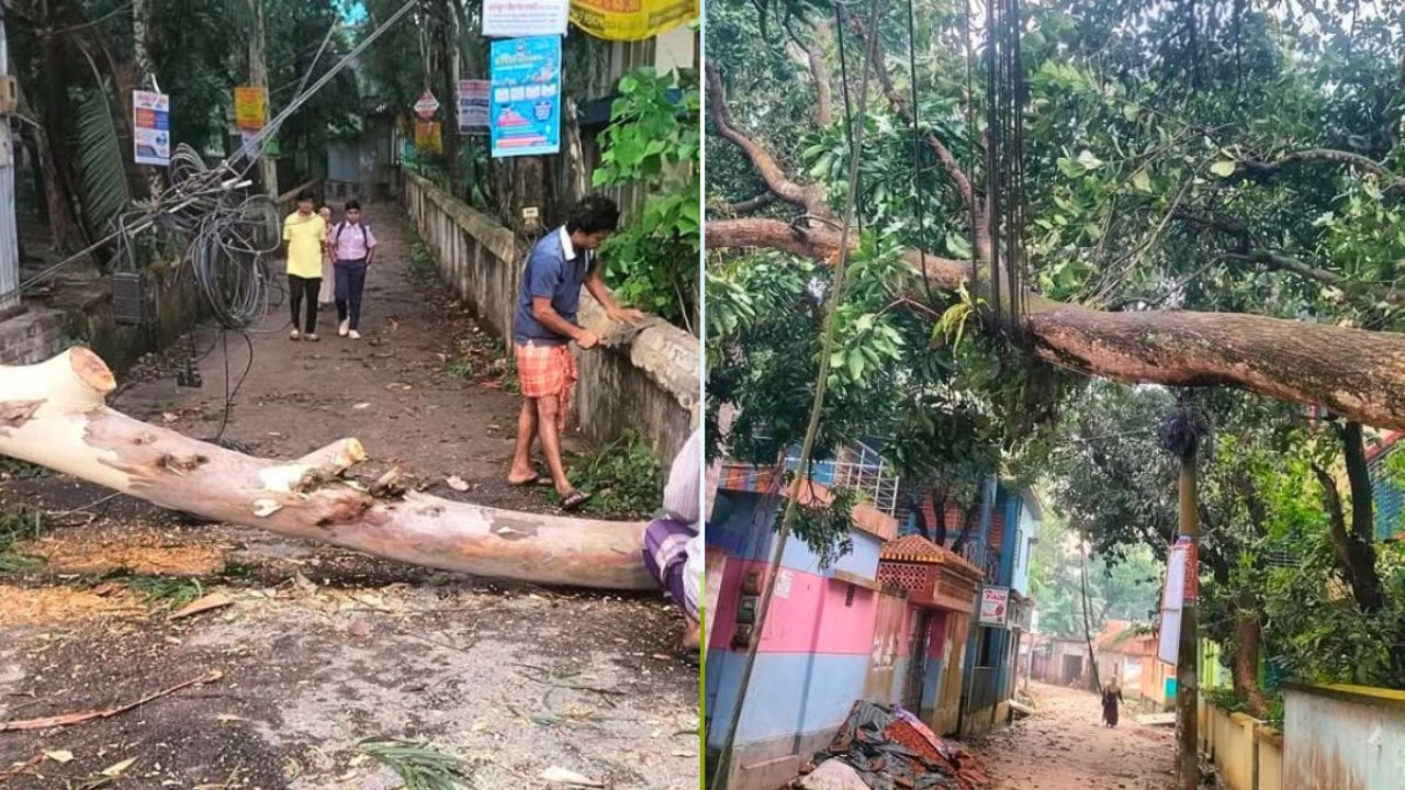 আধঘণ্টার ঝড়ে লণ্ডভণ্ড বগুড়ার শেরপুর