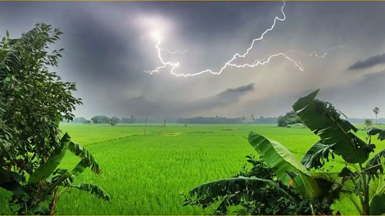 সুনামগঞ্জে ধান শুকাতে গিয়ে বজ্রপাতে স্কুলছাত্রীর মৃত্যু