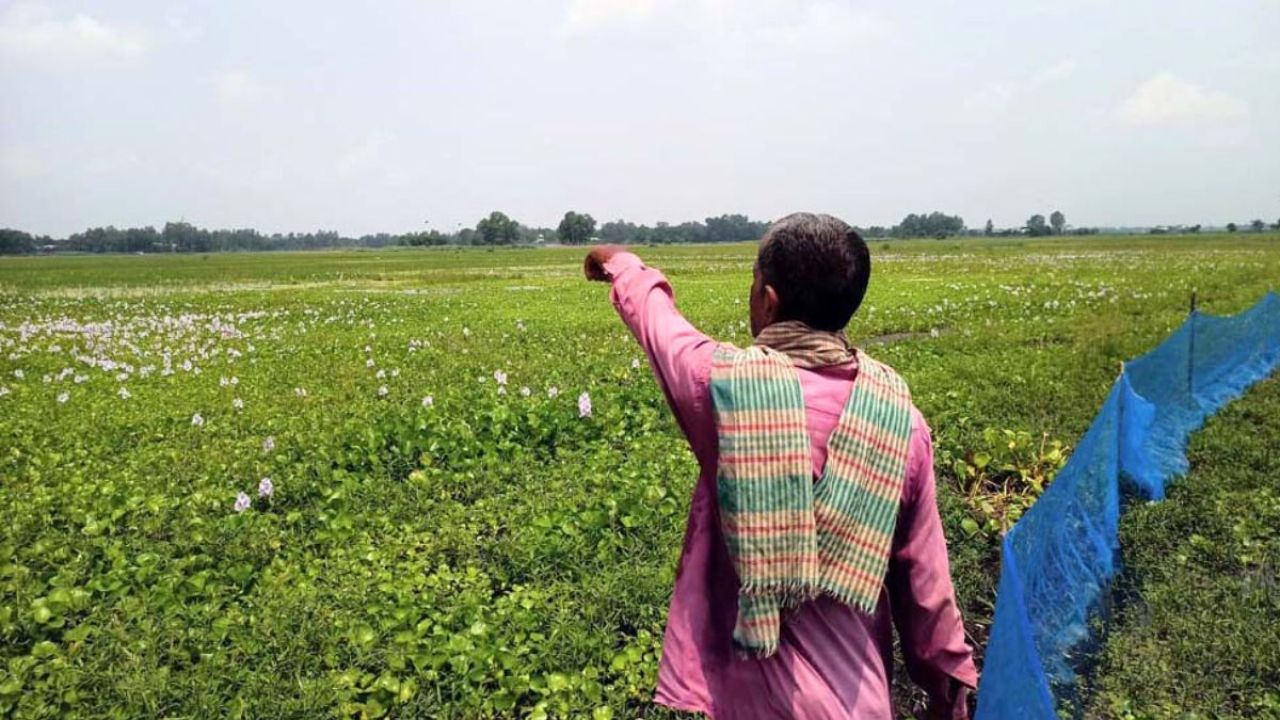 সংস্কার নেই খালের, বিপাকে হাজার কৃষক