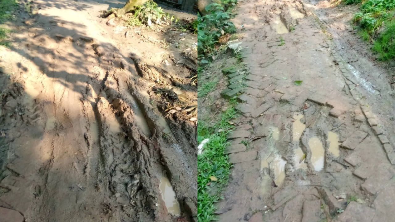 উন্নয়নের ছোঁয়া লাগেনি পাকুরিয়ার প্রধান সড়কে
