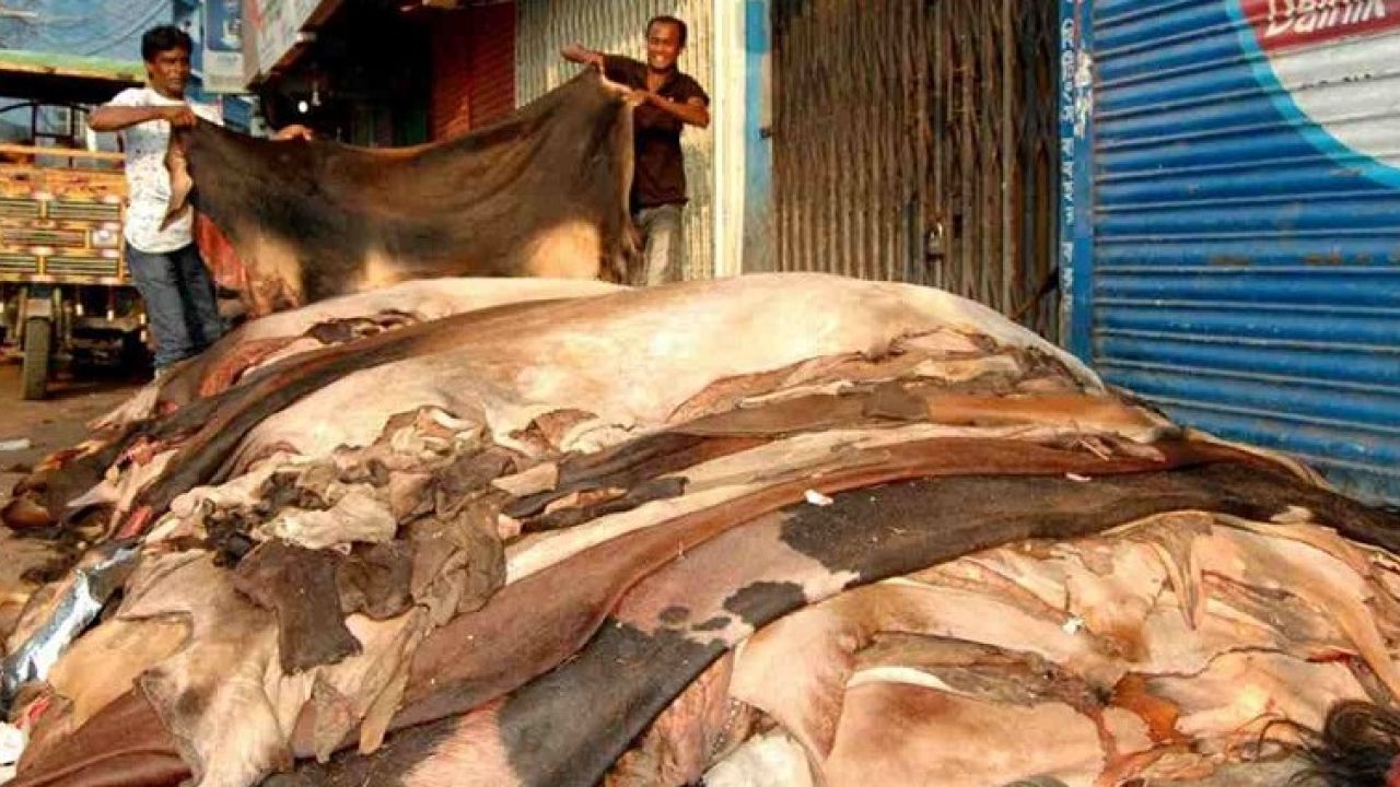 ঈদে চামড়ার দাম: গরুতে ২, খাসিতে ৩ টাকা বেশি