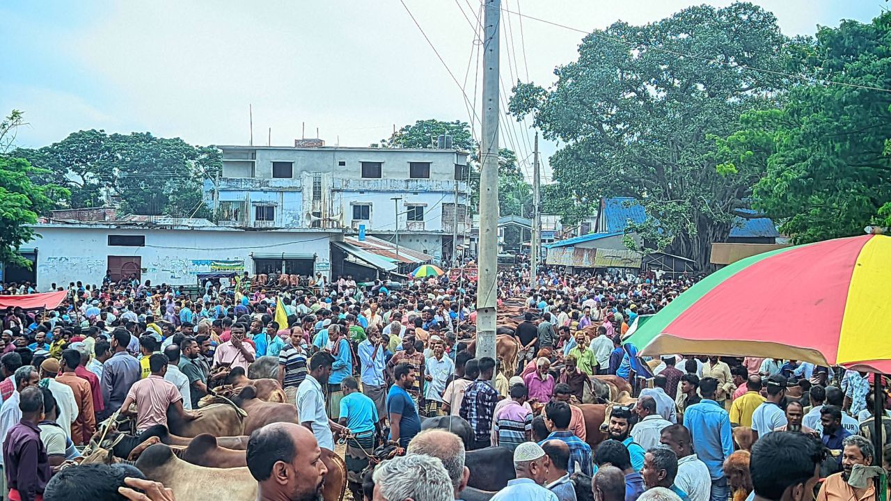 কোরবানির গরু কিনতে গিয়ে লাখ টাকা হারালেন ক্রেতা