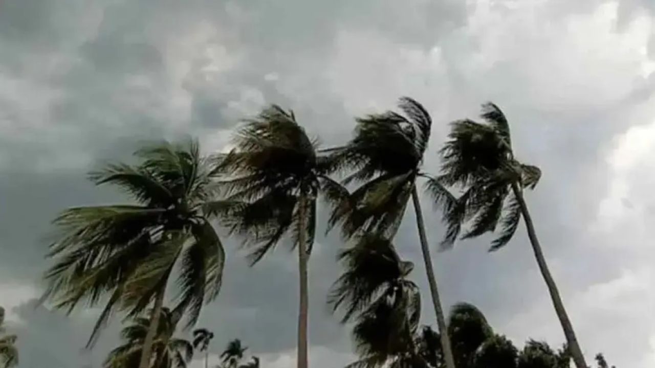 ঝোড়ো হাওয়াসহ বৃষ্টির পূর্বাভাস