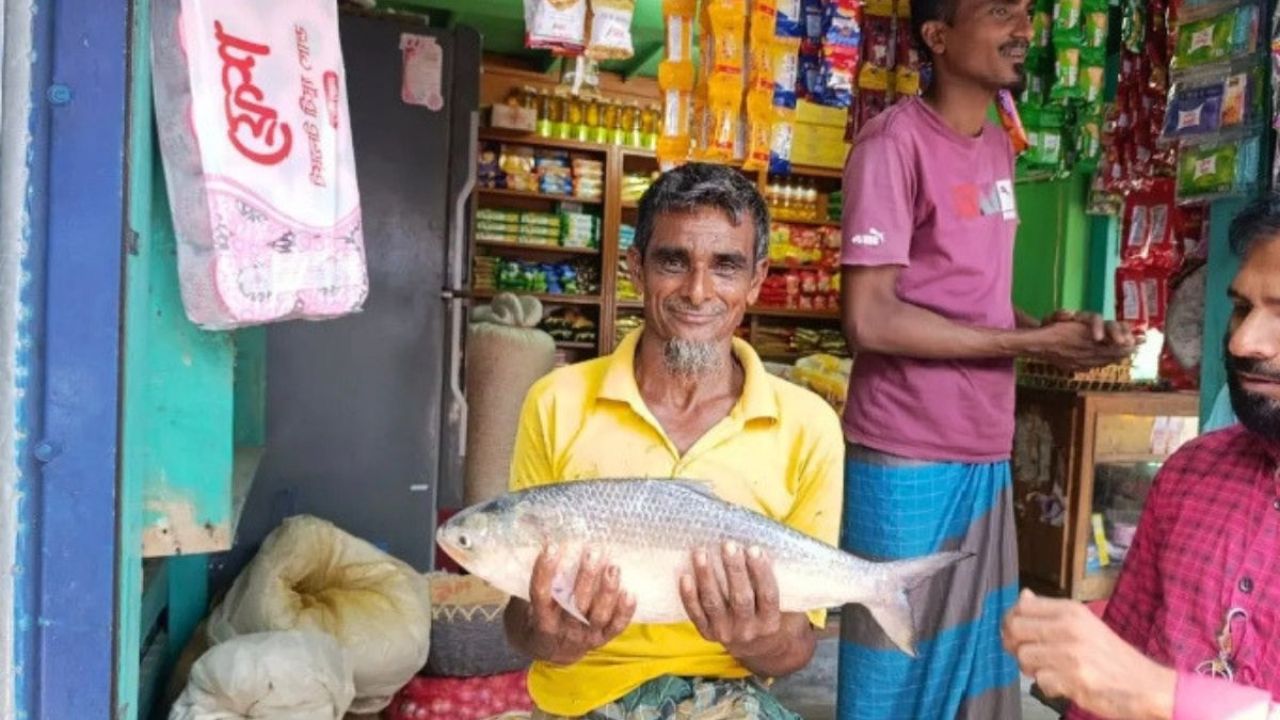 পায়রা নদীতে ধরা পড়ল বড় ইলিশ