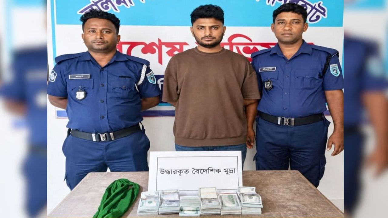 চেকপোস্টে তল্লাশিতে বিপুল পরিমাণ ডলার উদ্ধার