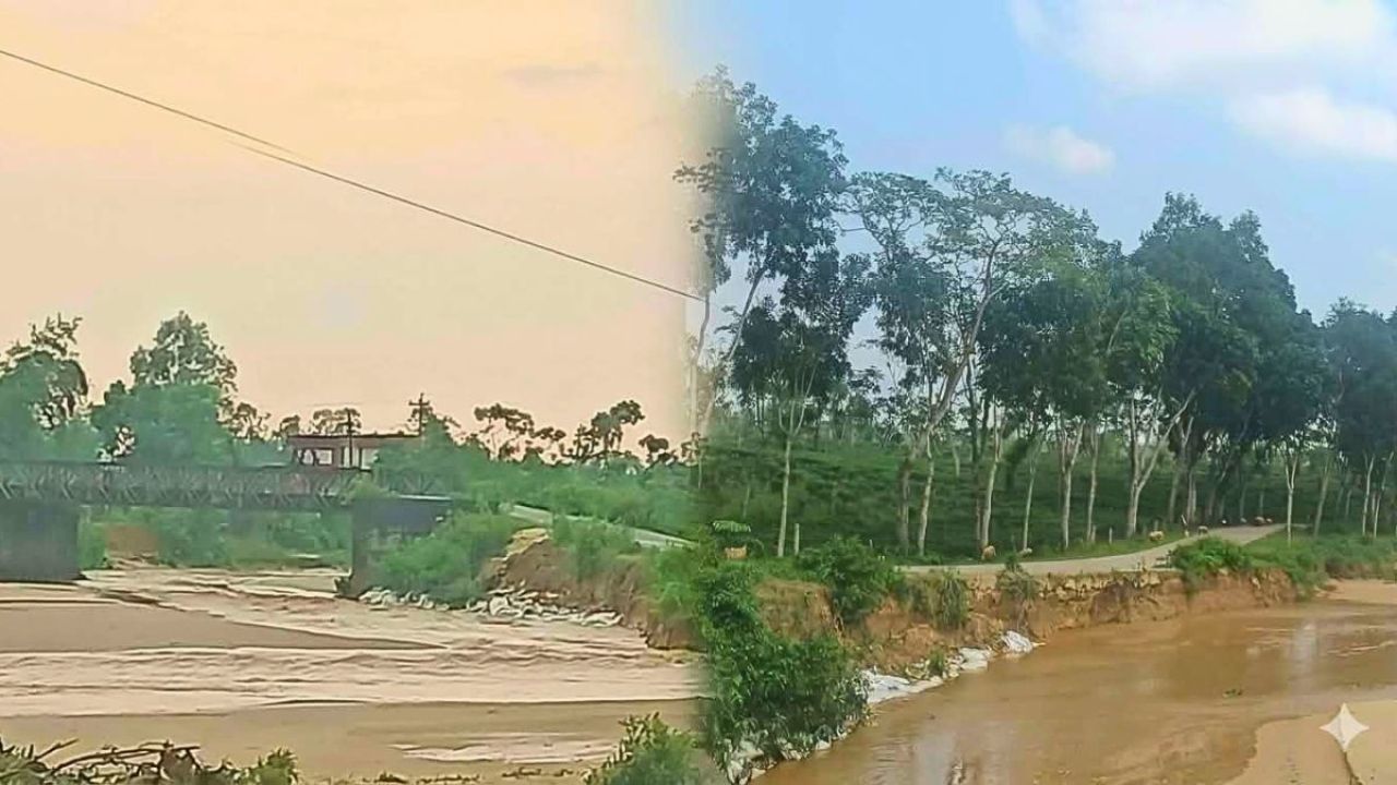 চা-বাগানের শতবর্ষী সেতু এখন মরণফাঁদ, আতঙ্কে হাজারো মানুষ