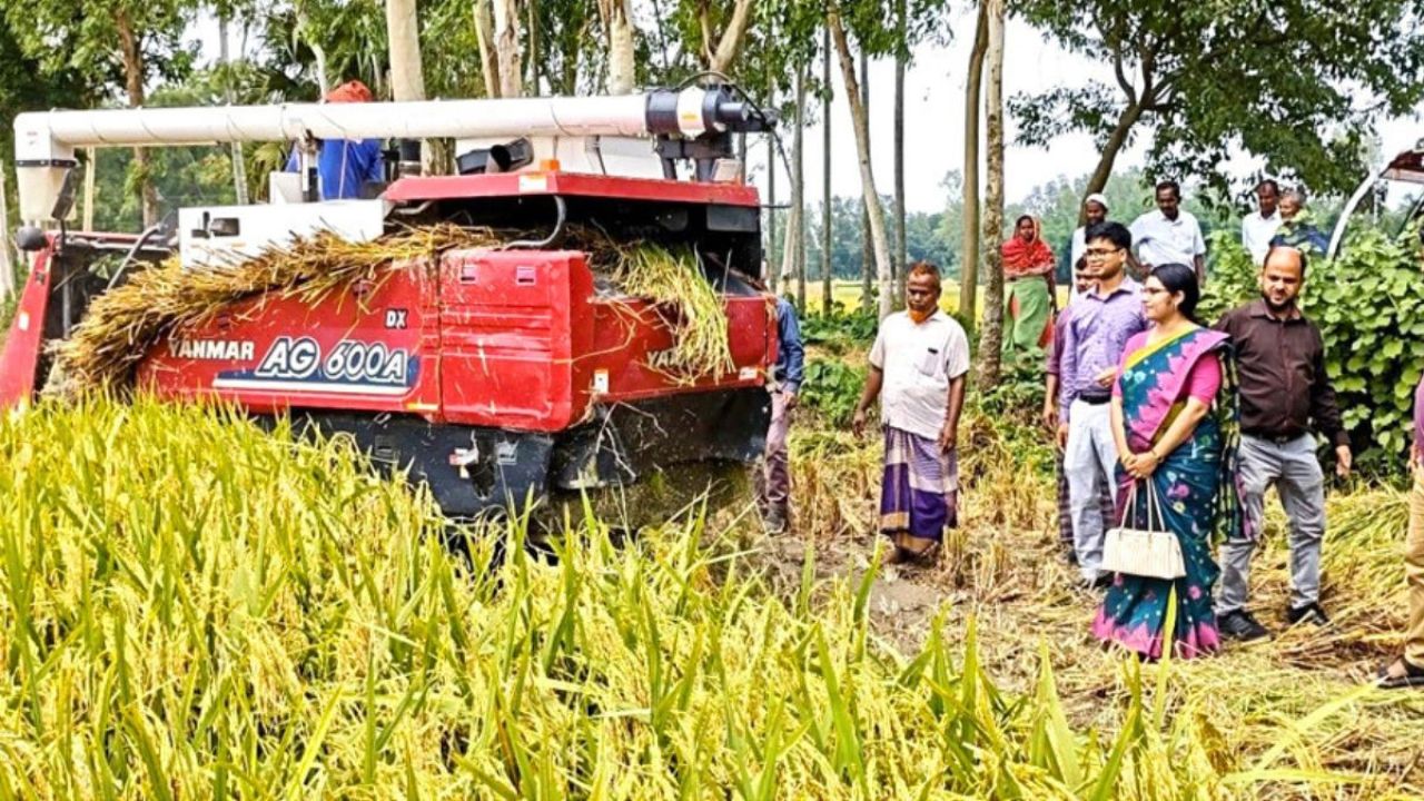 খরচ কমাতে প্রযুক্তিতে গুরুত্ব দিচ্ছে ব্রি 