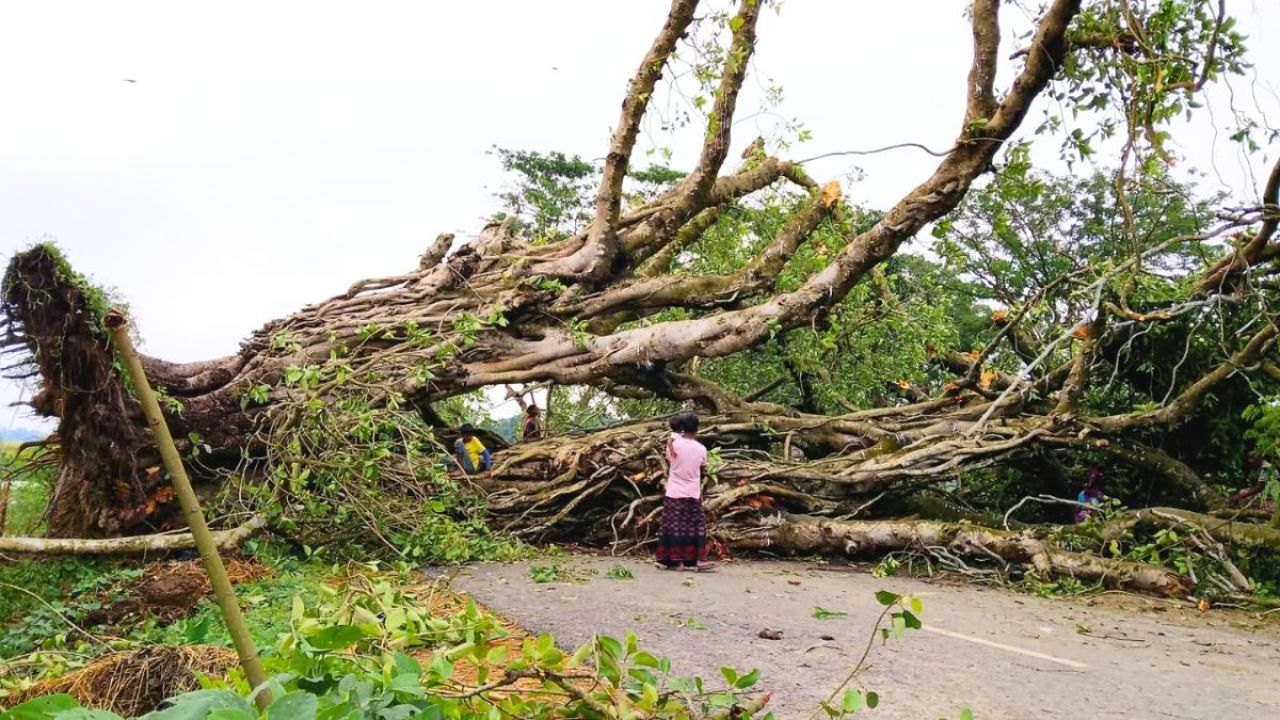 ঝড়ে লন্ডভন্ড পত্নীতলা, ঘরবাড়ি ও ফসলের ব্যাপক ক্ষতি