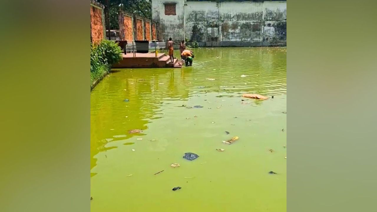 কবে ফিরবে শ্রীমঙ্গল ডাকবাংলো পুকুরের হারানো রূপ?