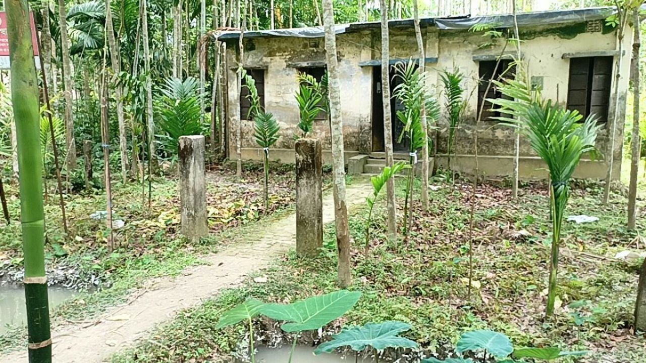 নেছারাবাদে কমিউনিটি ক্লিনিকের জমি দখলের অভিযোগ